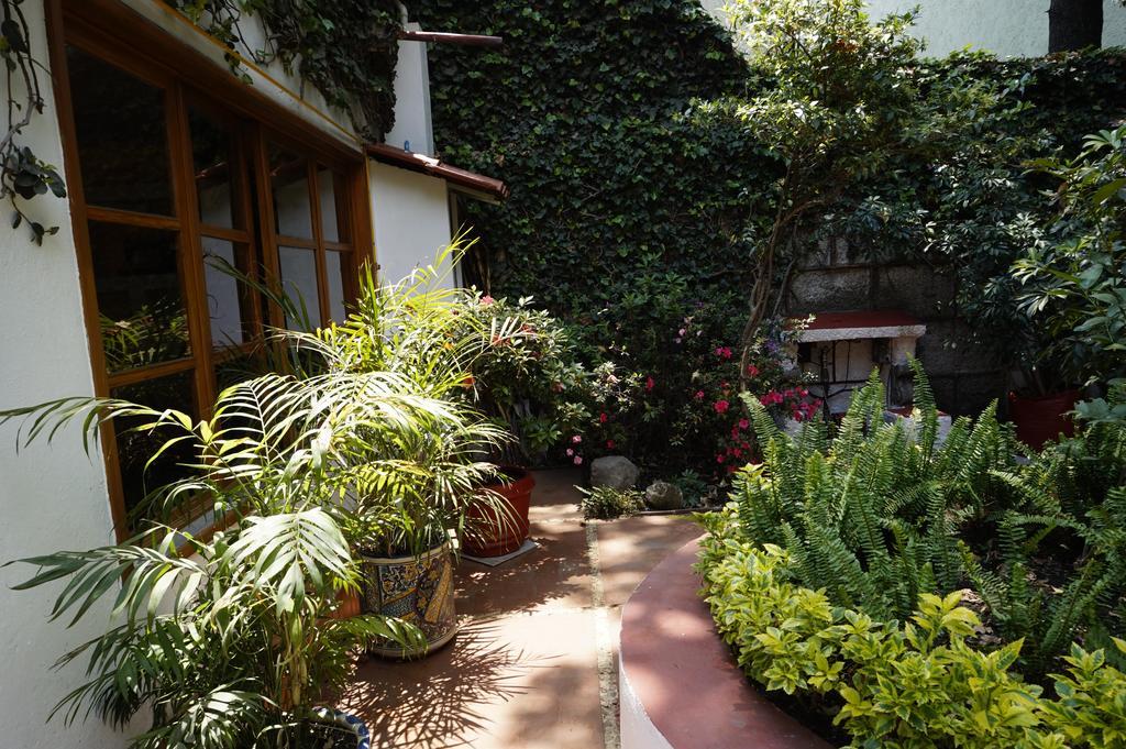 Casa Jacinta Guest House Mexico Extérieur photo