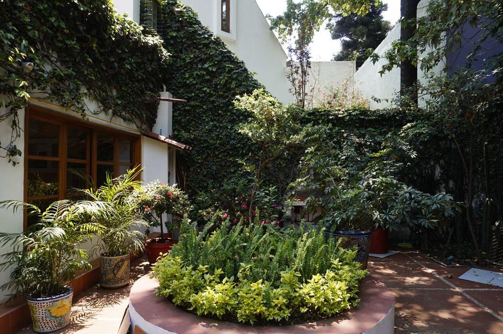 Casa Jacinta Guest House Mexico Extérieur photo