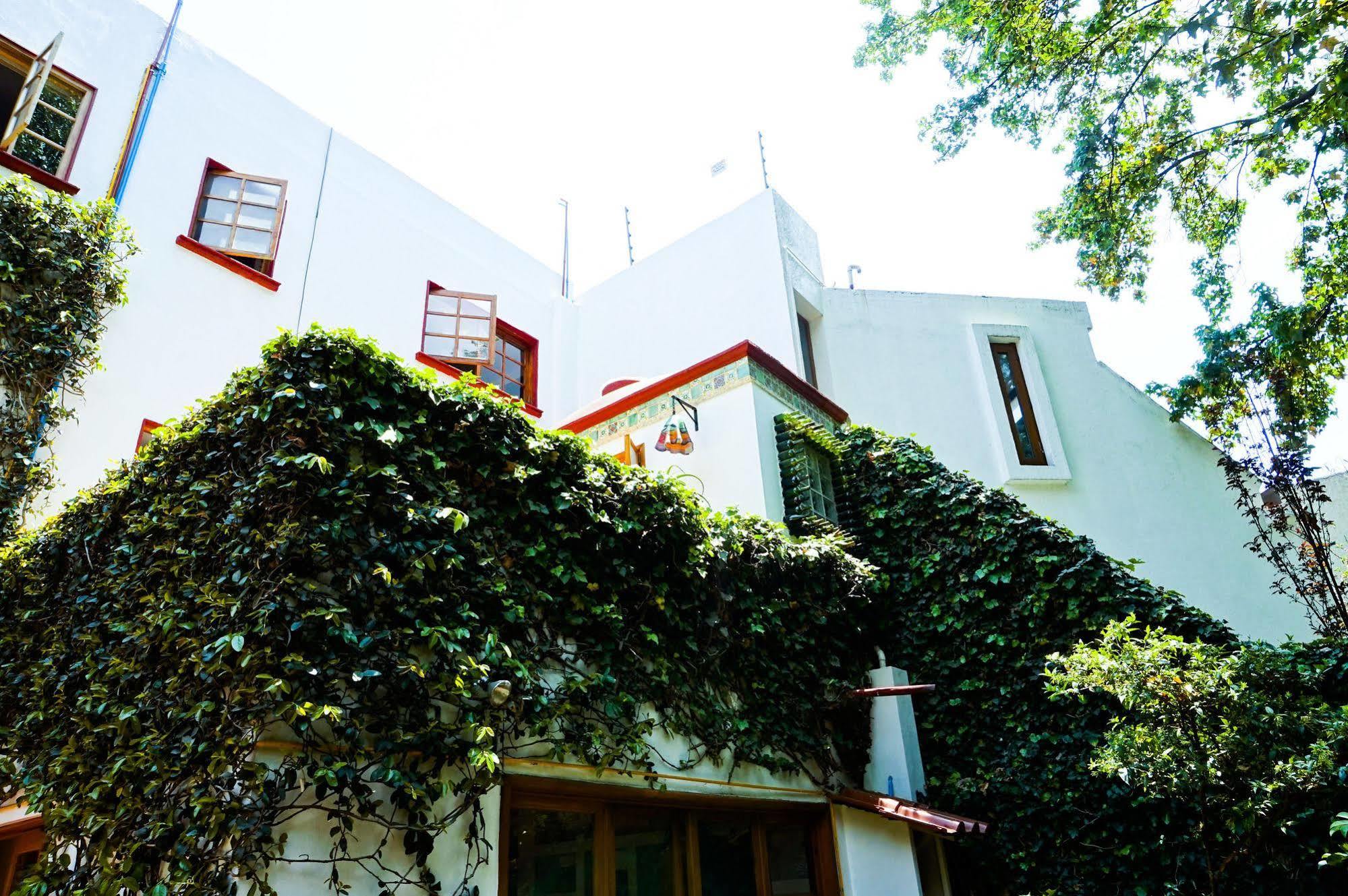 Casa Jacinta Guest House Mexico Extérieur photo