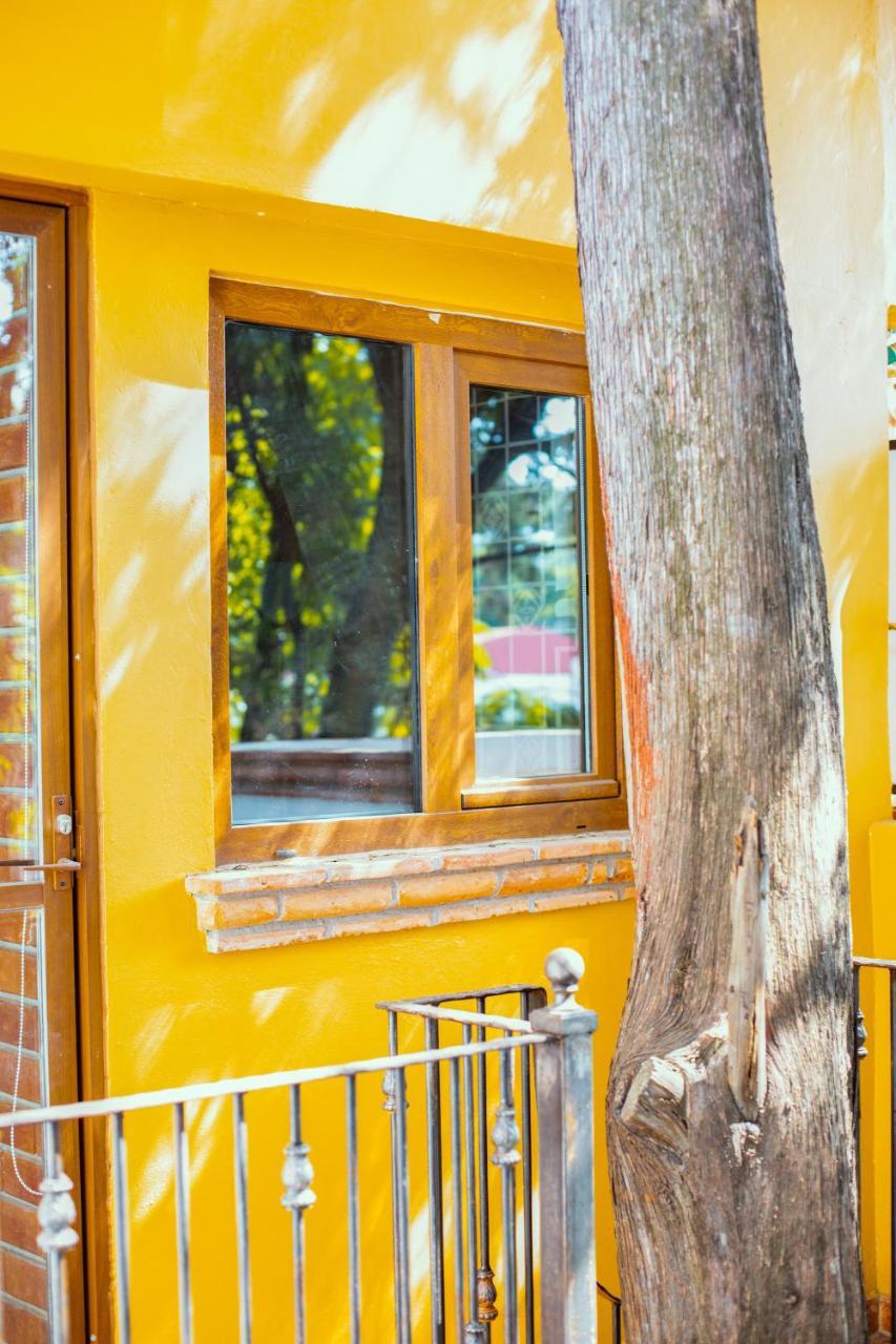 Casa Jacinta Guest House Mexico Extérieur photo
