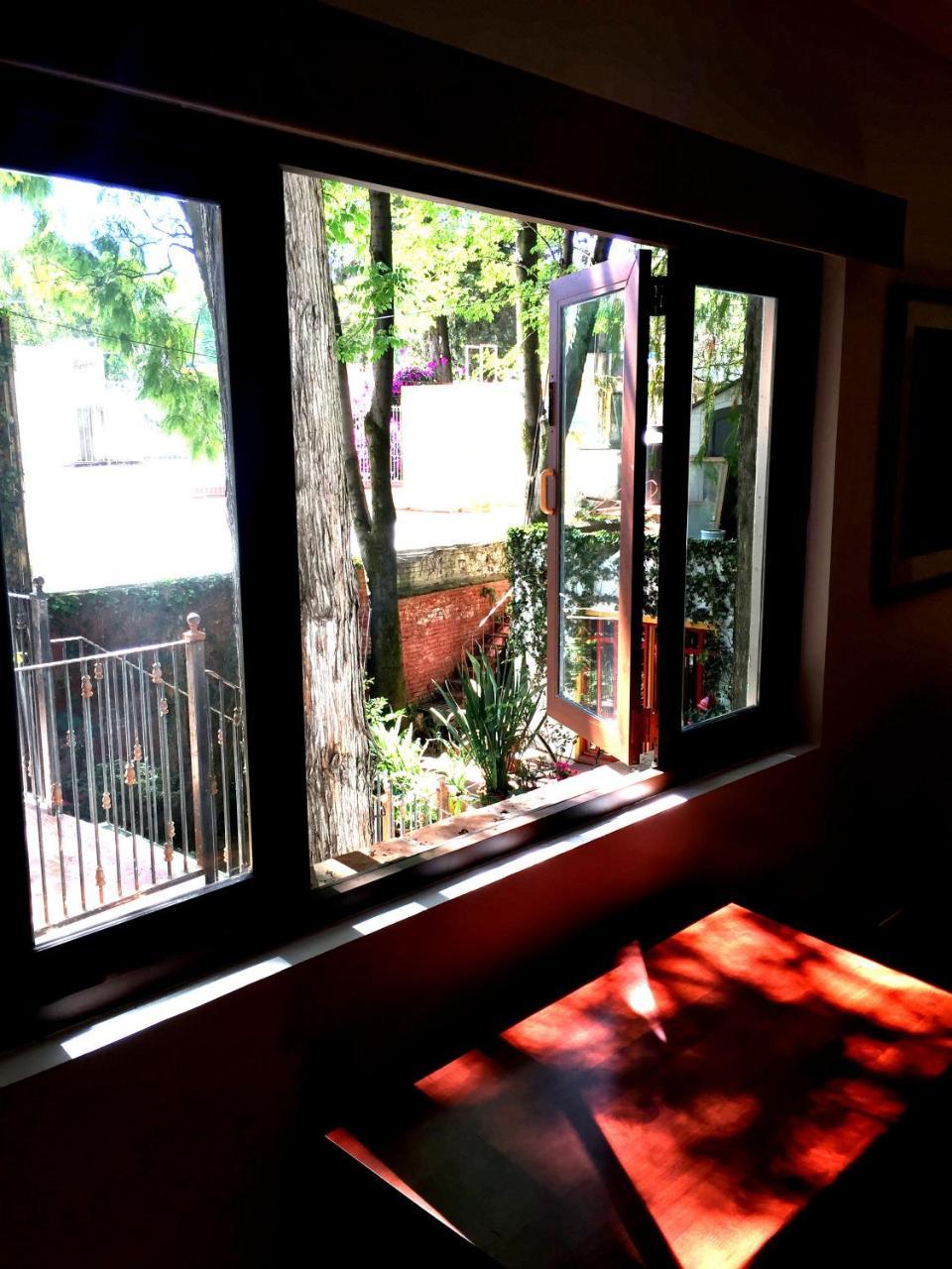 Casa Jacinta Guest House Mexico Extérieur photo