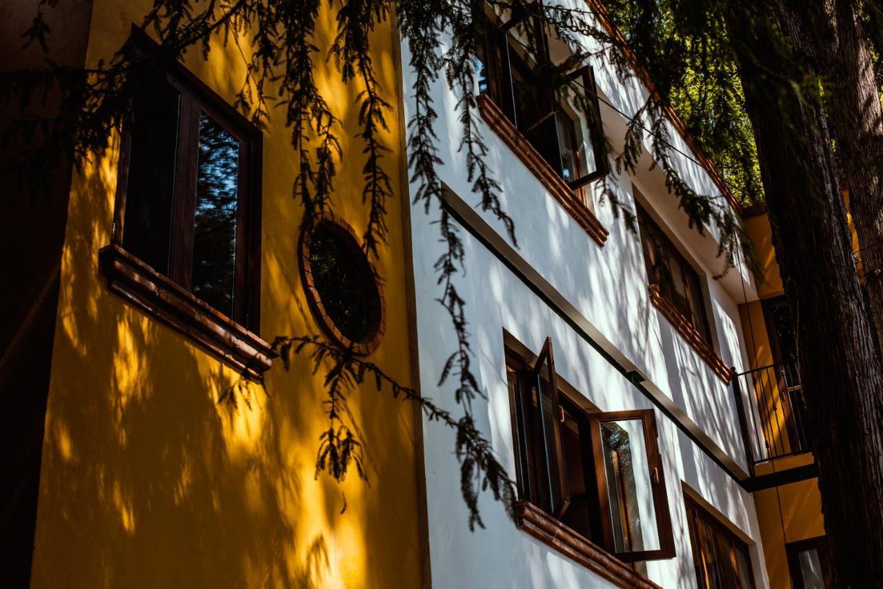 Casa Jacinta Guest House Mexico Extérieur photo