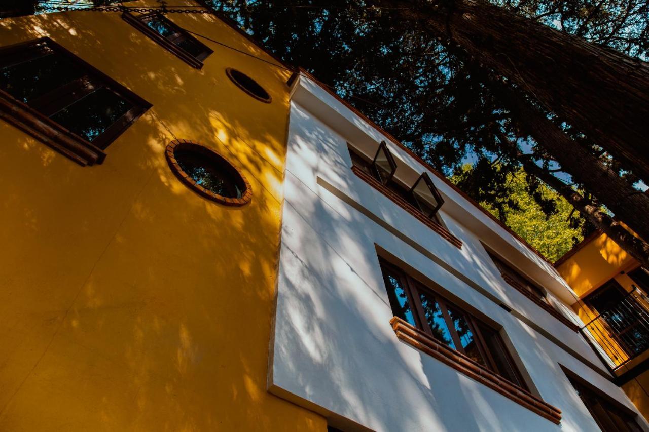 Casa Jacinta Guest House Mexico Extérieur photo